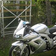 Suzuki sv1000s