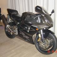 Honda cbr 954rr