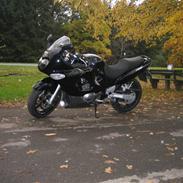 Suzuki gsx750f