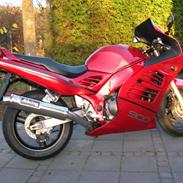 Suzuki rf900r