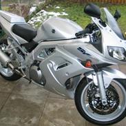 Suzuki SV1000SK4