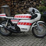 Yamaha TZ/RD