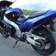 Yamaha YZF1000R ThunderAce