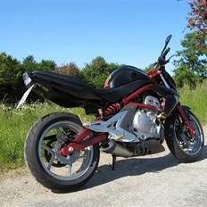 Kawasaki ER-6n (Solgt)