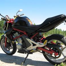 Kawasaki ER-6n (Solgt)