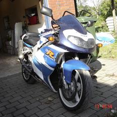 Suzuki TL 1000 R (OMBYGGET)