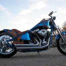 Harley Davidson Stivstellet-Malteser