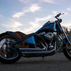 Harley Davidson Stivstellet-Malteser
