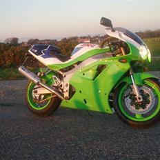 Kawasaki zxr 750 RR (ZX750K)