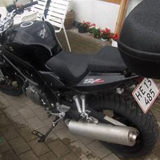 Suzuki sv 1000