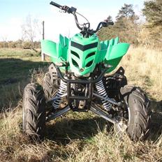 Zongshen  Kazuma Adult  Falcon 250