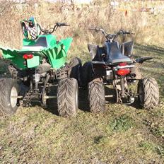 Zongshen  Kazuma Adult  Falcon 250