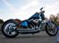 Harley Davidson Stivstellet-Malteser