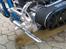 Harley Davidson Stivstellet-Malteser