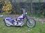Harley Davidson Panhead