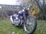 Harley Davidson Panhead