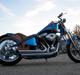 Harley Davidson Stivstellet-Malteser