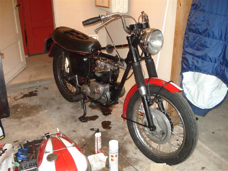 Triumph T100ss billede 16