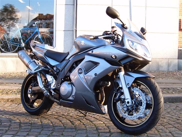 Suzuki SV 1000s billede 2