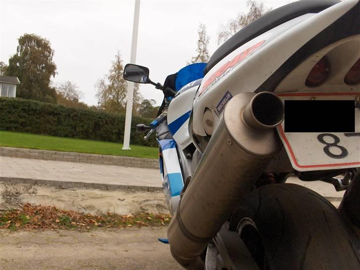 Suzuki TL 1000 R (OMBYGGET) billede 10