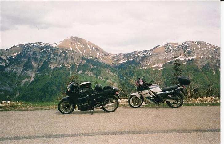 Kawasaki ZX9R - Totalskadet - På en Alpetop med en rejsekammerat billede 15