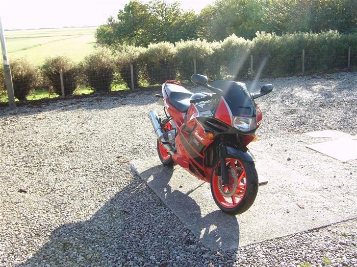 Honda Cbr 600 *Solgt* - 19/10-07 billede 4