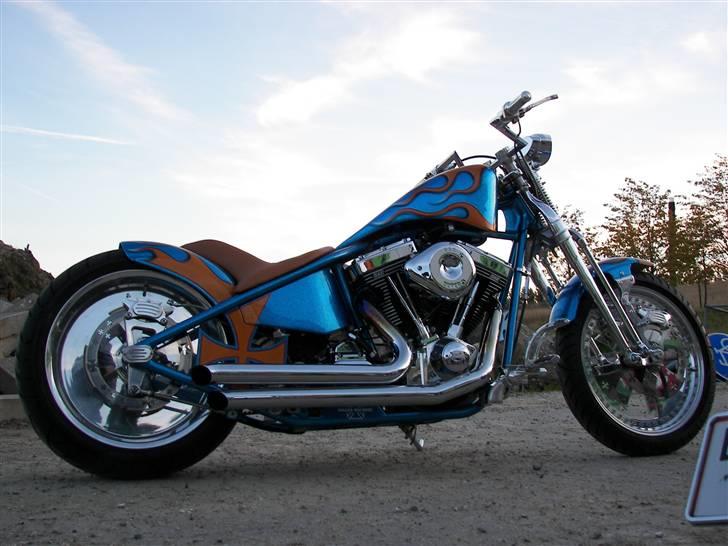 Harley Davidson Stivstellet-Malteser billede 1