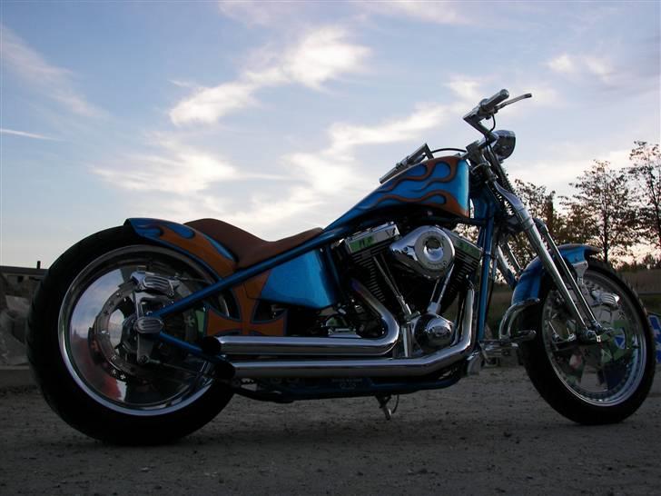 Harley Davidson Stivstellet-Malteser billede 2