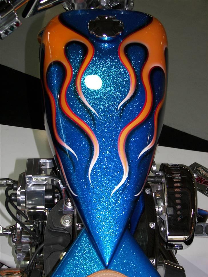 Harley Davidson Stivstellet-Malteser billede 4