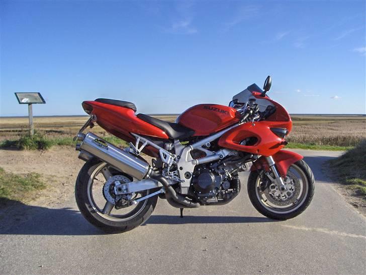 Suzuki TL 1000s billede 4