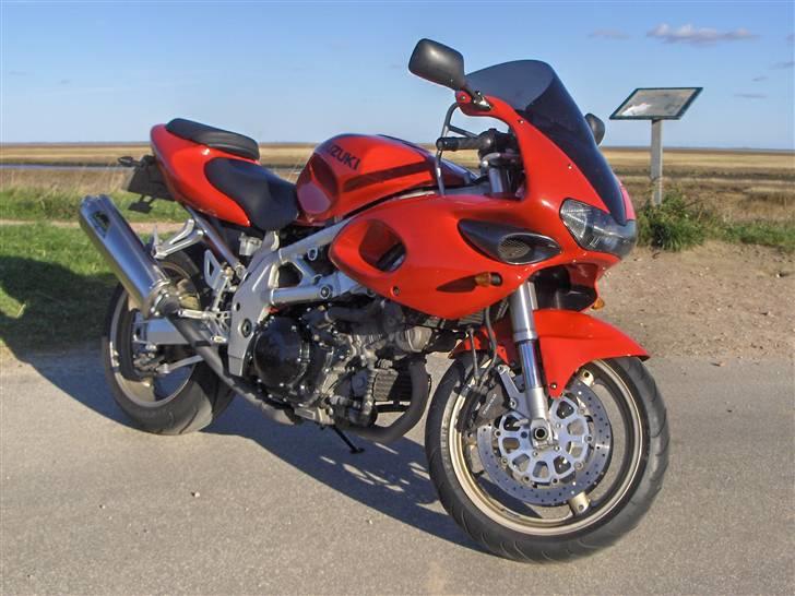 Suzuki TL 1000s billede 5