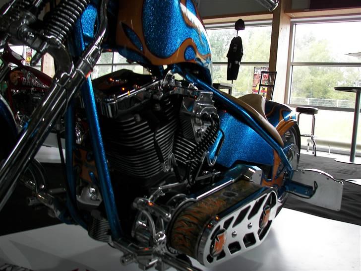 Harley Davidson Stivstellet-Malteser billede 15