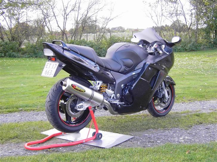 Honda cbr 1100xx blackbird billede 7