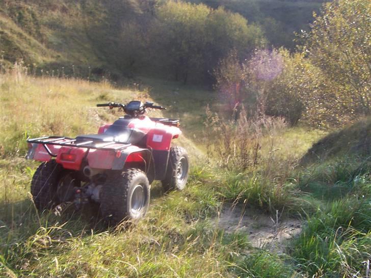 Honda Fourtrax - Der har været en "bane" engang. Hydrema´en skal vist ned og have lavet den lidt bedre igen. billede 15