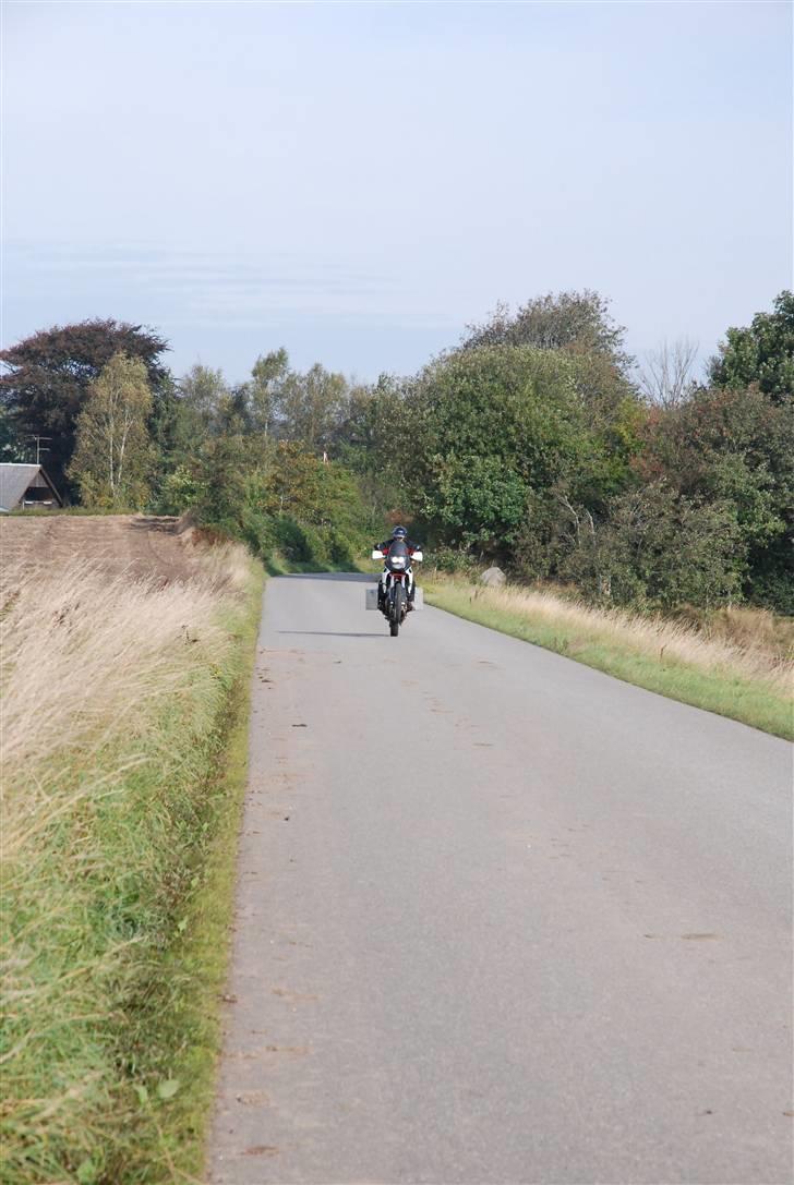 Honda Africa Twin billede 4