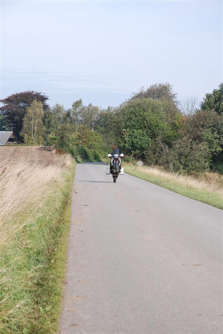 Honda Africa Twin billede 5