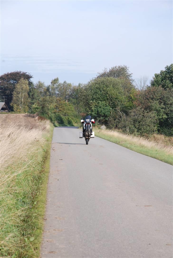 Honda Africa Twin billede 6