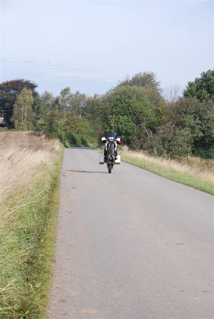 Honda Africa Twin billede 7