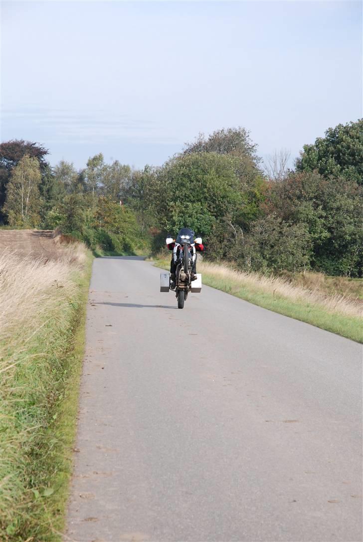 Honda Africa Twin billede 8