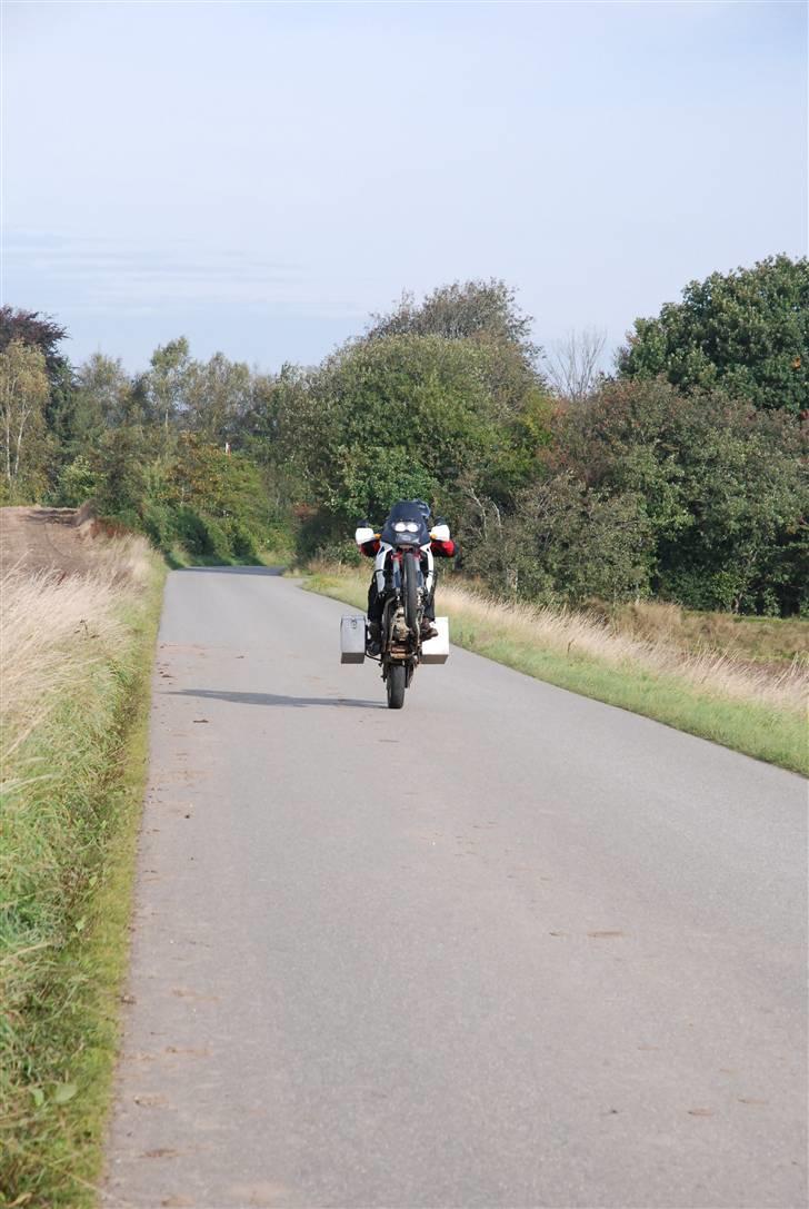 Honda Africa Twin billede 9