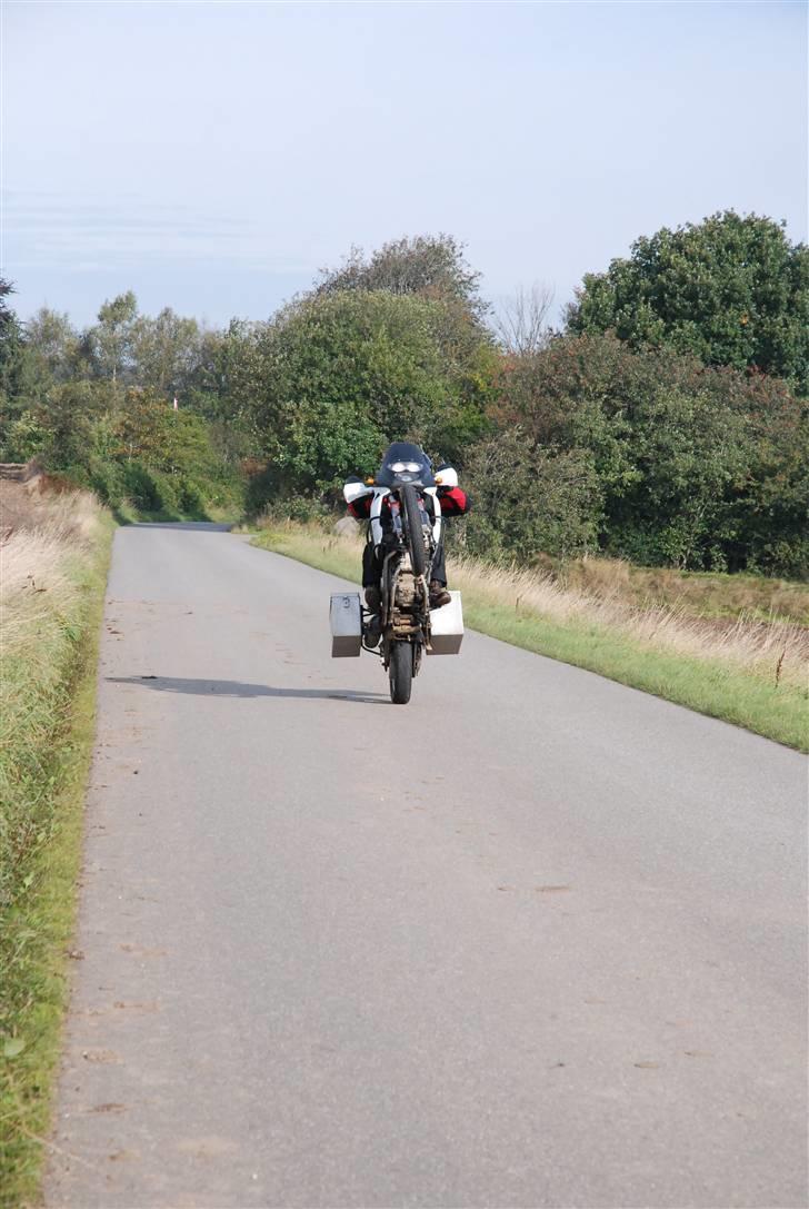 Honda Africa Twin billede 10
