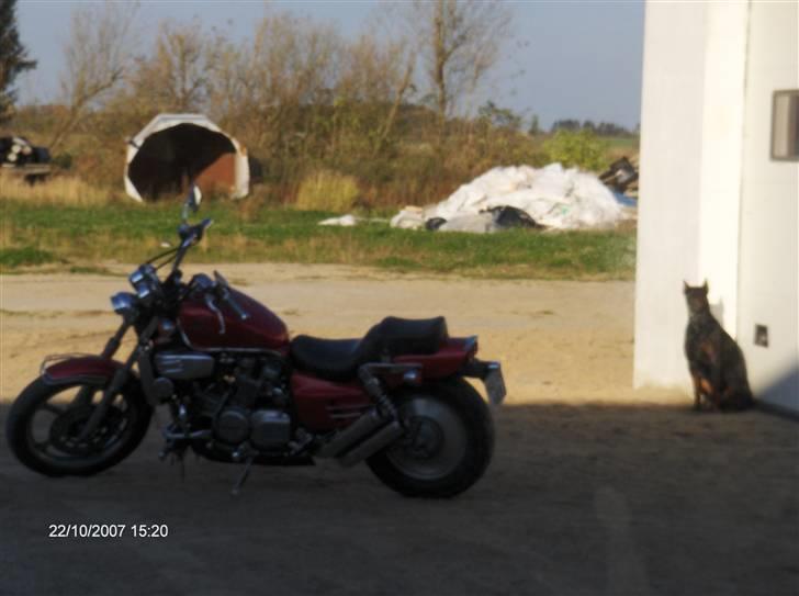 Honda Super Magna VF 700C - "drengen" holder lige øje med fars bike ;-) billede 10