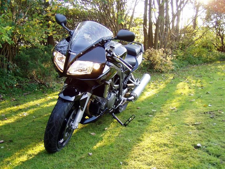 Suzuki sv 1000 sk7  billede 3
