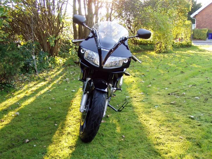 Suzuki sv 1000 sk7  billede 5