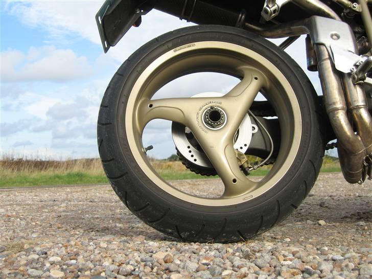 Ducati 916 Biposto "SOLGT" billede 3