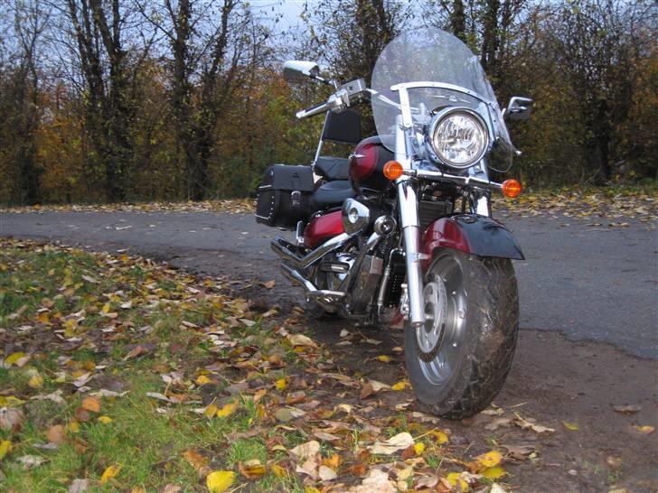 Suzuki vl 1500 - ja ja holder lige i pløret alt for et billed billede 4