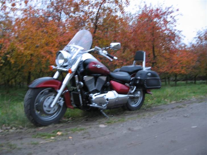 Suzuki vl 1500 - sidste tur her med kirsbær treer i baggrunden billede 7