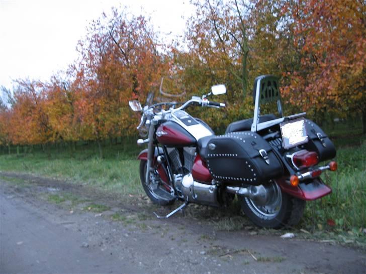 Suzuki vl 1500 - og igen billede 9