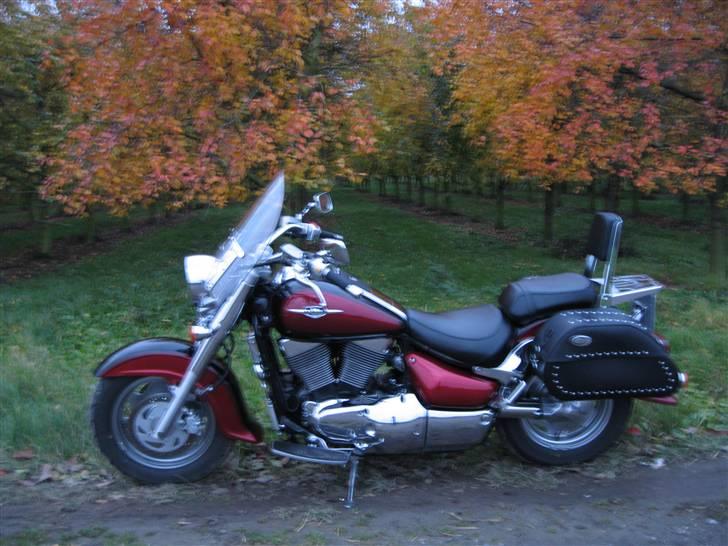 Suzuki vl 1500 - og så tak for i år og tak til bernd for lån af træer. billede 11