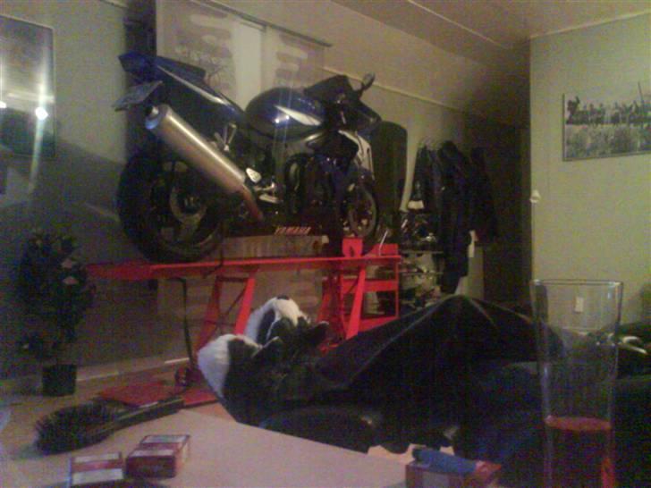 Yamaha YZF R6 - Damen er da for dejlig når hun tilbyder at have dyret stående i stuen, tøvede selvfølgelig ikke med at sige ja tak :) billede 14